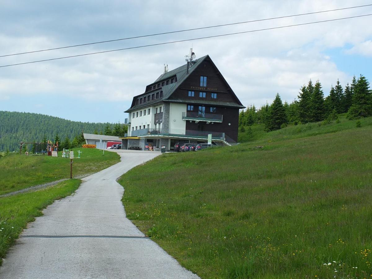 Horsky Hotel Friesovy Boudy Strazne Bagian luar foto